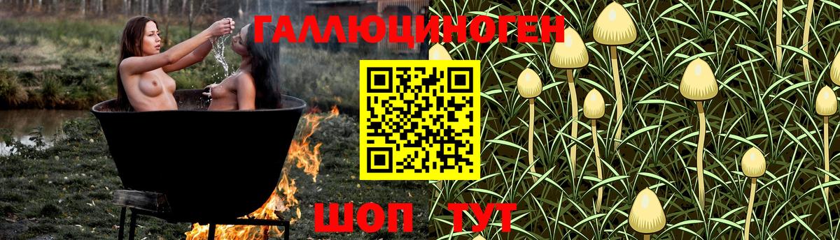 Краснознаменск  Псилоцибиновые грибы Magic Shrooms  Галлюциногенные грибы мухоморы  Вход с VPN 